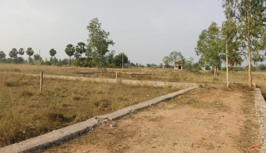 ______ » Blog Archive » First phase of the 75 km ring road around  Bhubaneswar to start